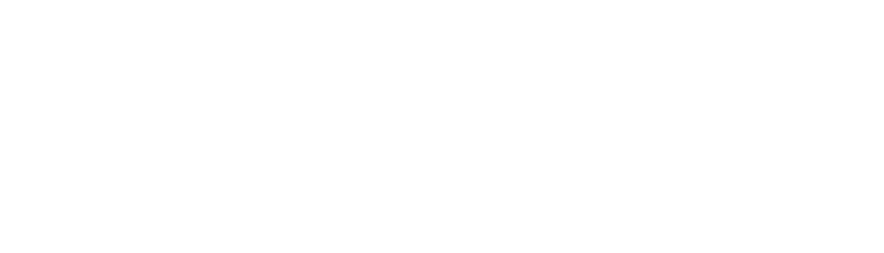 SVZ